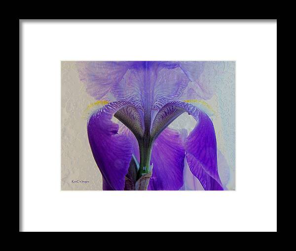 Iris Framed Print featuring the photograph Iris and Ice by Kae Cheatham