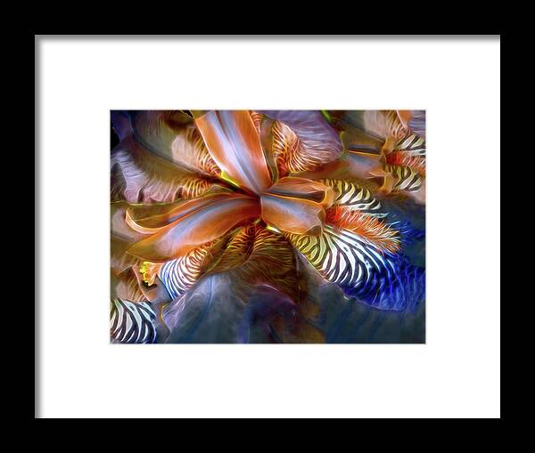 Flower Framed Print featuring the mixed media Iris Dream by Lynda Lehmann
