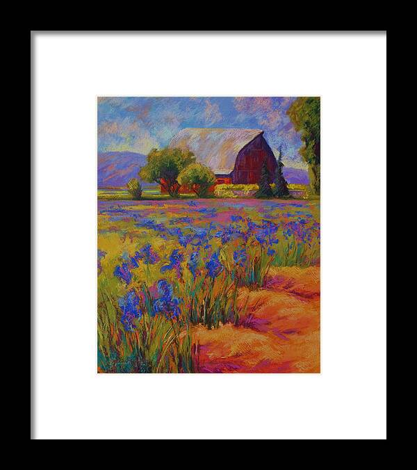 Pastel Framed Print featuring the painting Iris Field by Marion Rose