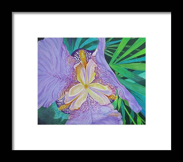 Iris Framed Print featuring the drawing Iris From a Different Perspective by Linda Williams