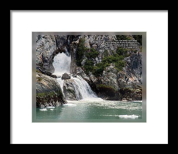 Bible Framed Print featuring the photograph Isaiah 43 19 by Dawn Currie