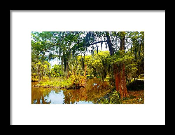 Islands Framed Print featuring the painting Island In The Park by CHAZ Daugherty