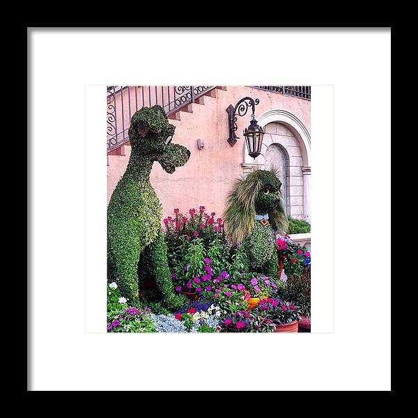 Livetoinspire Framed Print featuring the photograph Lady and the Tramp by Janel Cortez