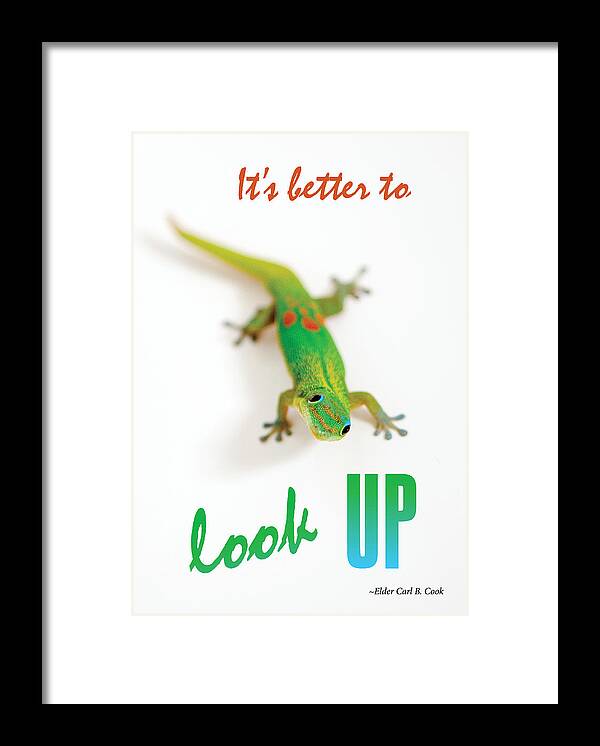 Geckos Framed Print featuring the photograph Its better to look up by Denise Bird