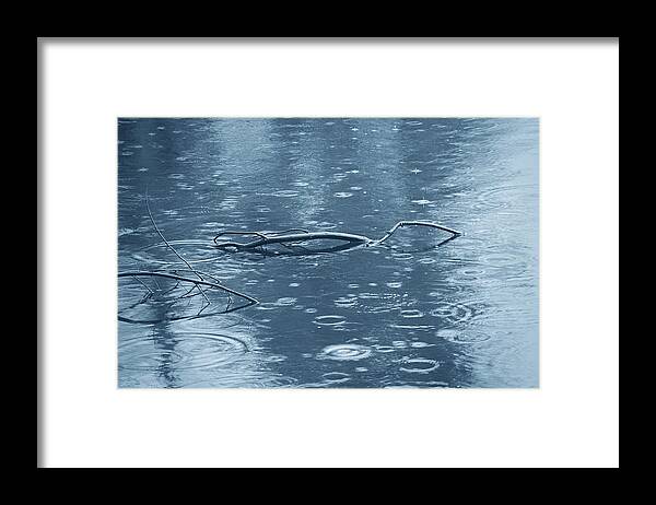 Branches Framed Print featuring the photograph It's Cold And Raining by Angie Tirado