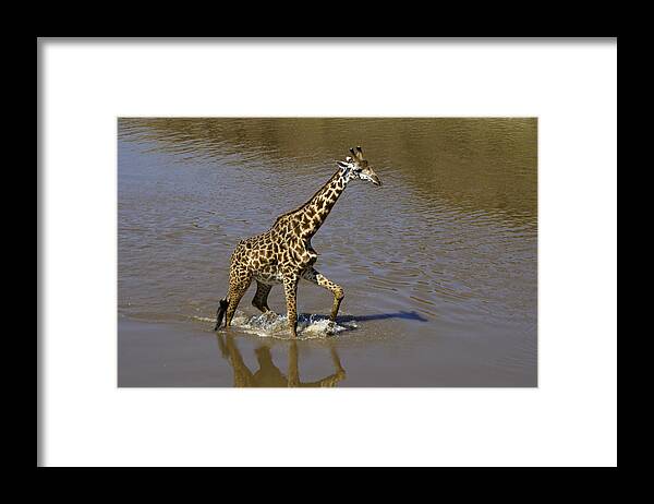 Africa Framed Print featuring the photograph It's Only Ankle Deep by Michele Burgess