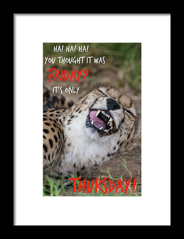 Funny Framed Print featuring the photograph It's Only Thursday by Teresa Wilson
