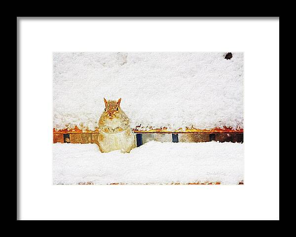 Squirrel Framed Print featuring the photograph Its Snoooow Cold by Diane Lindon Coy