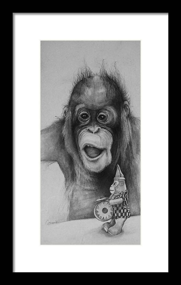 Primate Framed Print featuring the drawing Ive Always Wanted One of Those by Jean Cormier