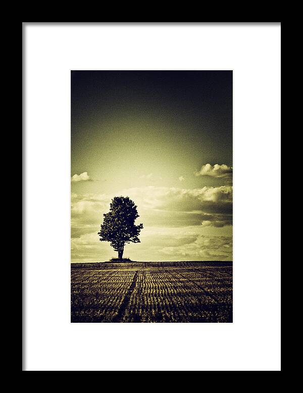 Tree Framed Print featuring the photograph I've been watching...and...waiting.... by Russell Styles