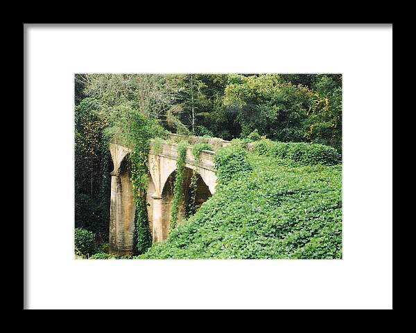 Nature Framed Print featuring the photograph Ivy covered bridge by Felix Turner