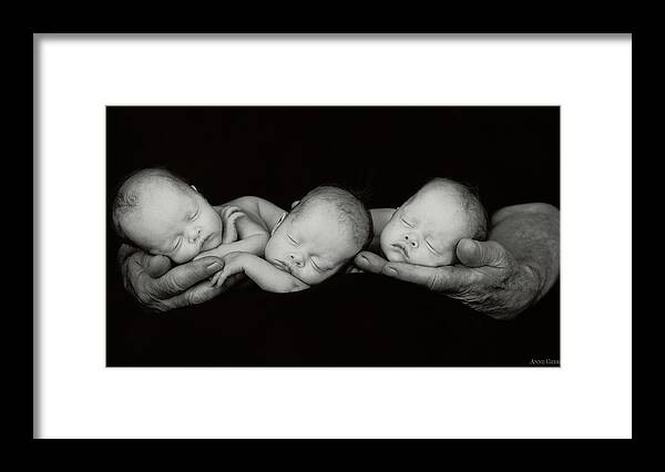 Black And White Framed Print featuring the photograph Jack and the Triplets by Anne Geddes