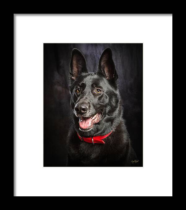German Framed Print featuring the photograph Jackaroe by Everet Regal