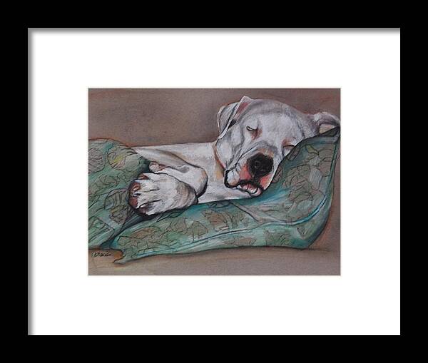 White Dog Framed Print featuring the drawing Jackson by Jean Cormier
