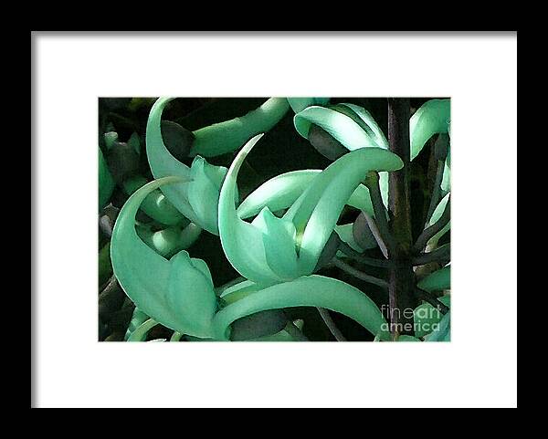 James Temple Framed Print featuring the photograph Jade Vine by James Temple