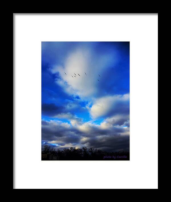 Winter Skies Framed Print featuring the photograph January Smiles by Ruben Carrillo