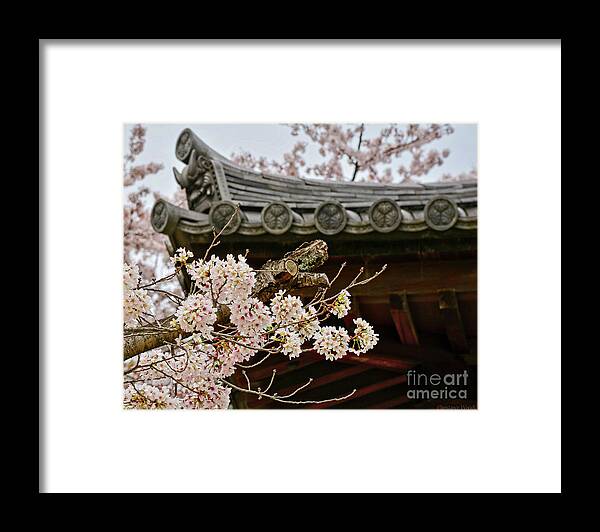 Japan Framed Print featuring the photograph Japan In The Spring by Constance Woods