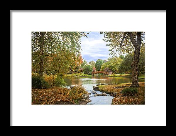Botanical Framed Print featuring the photograph Japanese Garden View by David Coblitz