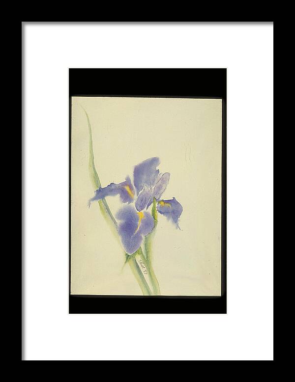 Watercolor Framed Print featuring the painting Japanese Iris by Nancy Ethiel