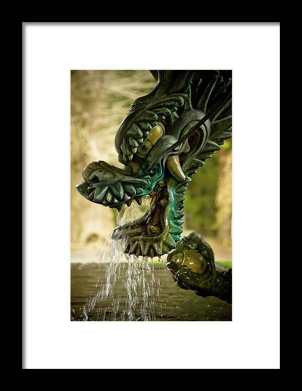 Fountain Framed Print featuring the photograph Japanese Water Dragon by Sebastian Musial