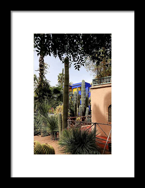 Jardin Majorelle Framed Print featuring the photograph Jardin Majorelle 4 by Andrew Fare