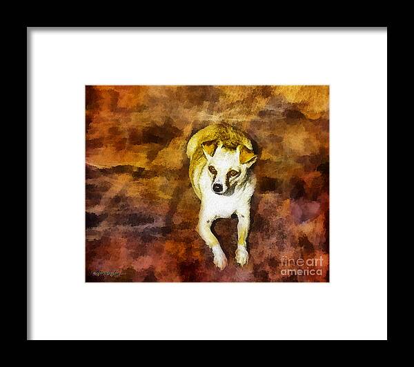Dog Framed Print featuring the photograph Jasper by Rhonda Strickland