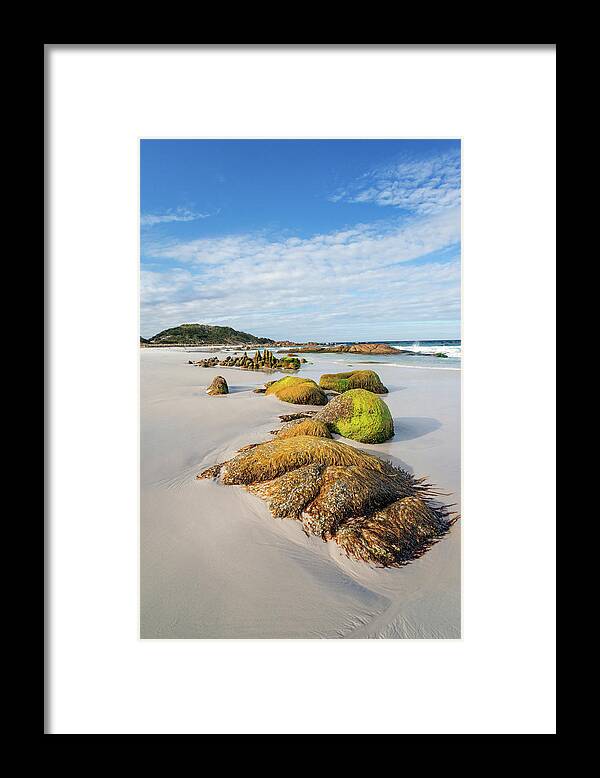 Beach Framed Print featuring the photograph Jeaneret Beach - Bay of Fires by Anthony Davey