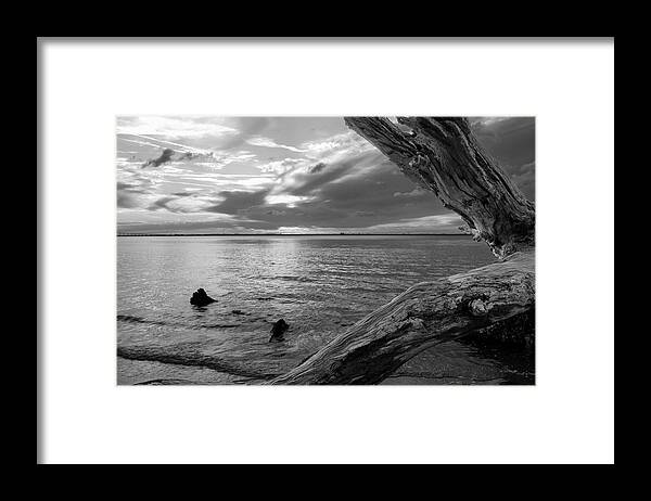 Jekyll Island Framed Print featuring the photograph Jekyll Driftwood At Sunset In Black and White by Greg and Chrystal Mimbs
