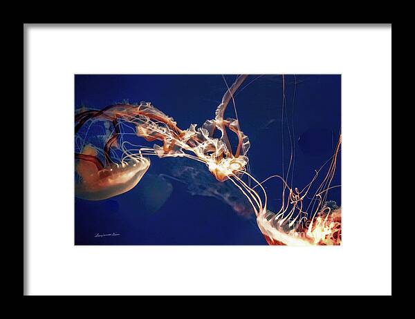 Jelly Fish Framed Print featuring the digital art Jelly Fish Web by Georgianne Giese