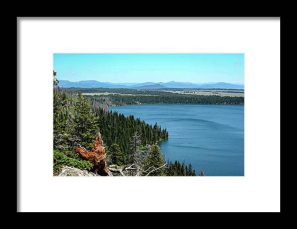 Grand Tetons Framed Print featuring the photograph Jenny Lake, Grand Tetons by Aashish Vaidya