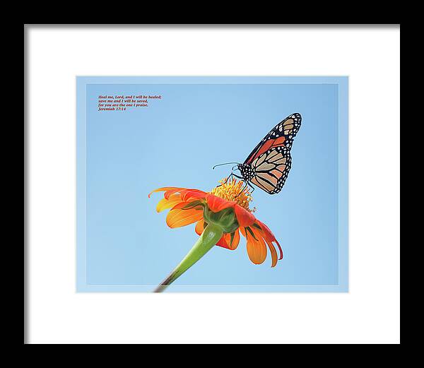 Daily Scripture Framed Print featuring the photograph Jeremiah 17 14 by Dawn Currie