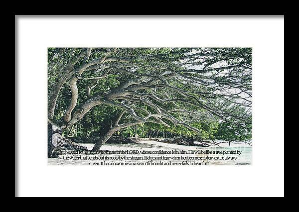 Jeremiah Framed Print featuring the photograph Jeremiah 17 7 8 by Andrea Anderegg