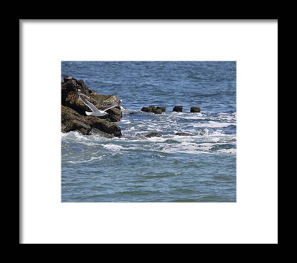 New Jersey Framed Print featuring the photograph Jersey Shore by Joseph G Holland
