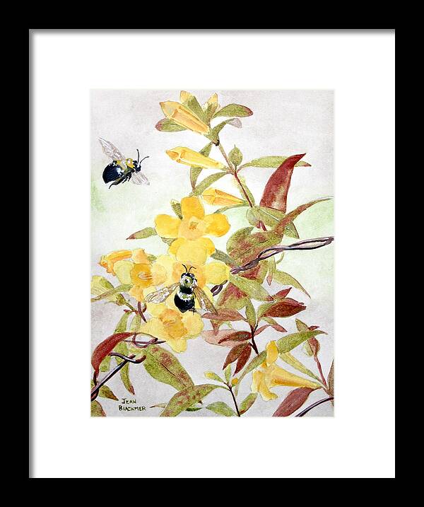 Jasmine Framed Print featuring the painting Jessamine Bee Mine by Jean Blackmer