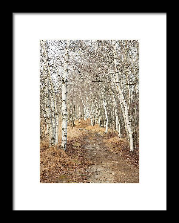 Acadia National Park Framed Print featuring the photograph Jessup Path in Winter by Gordon Ripley