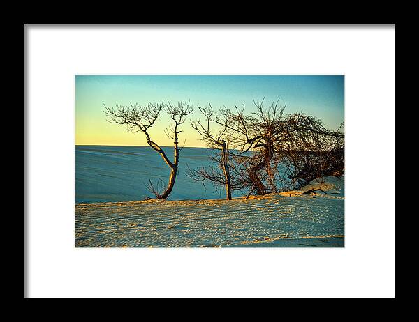Landscapes Framed Print featuring the photograph Jockey Ridge Sentinels by Donald Brown