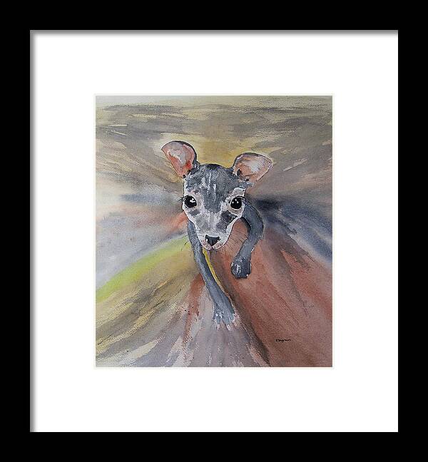 Animal Framed Print featuring the painting Joey in mums pouch by Elvira Ingram