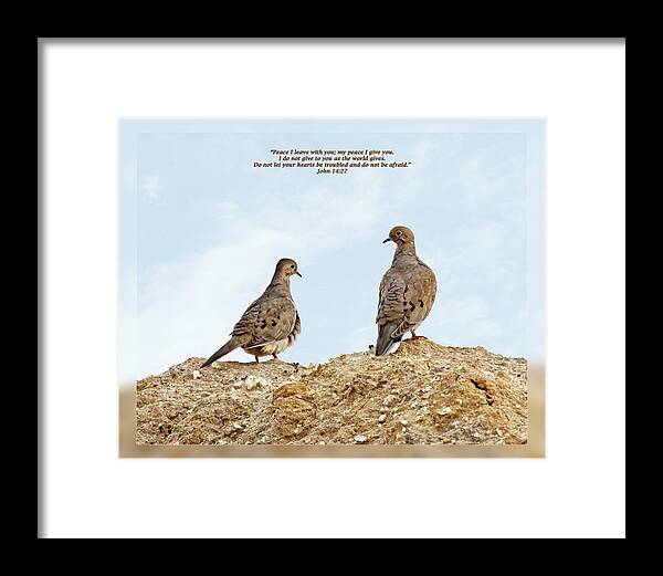 Bible Framed Print featuring the photograph John 14 27 by Dawn Currie