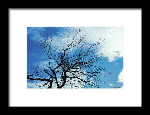 Tikki Framed Print featuring the photograph Jonathan Dickinson State Park Dead Tree by Ken Figurski