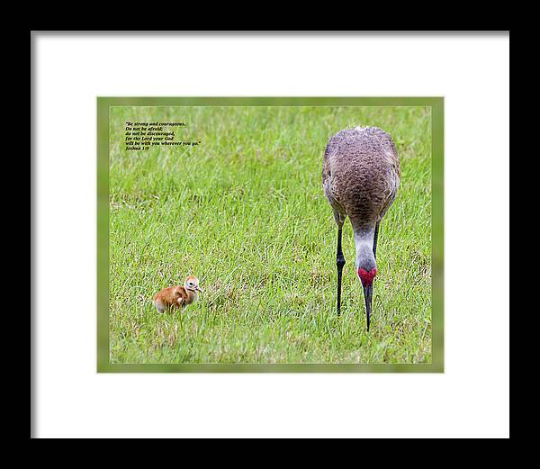Daily Scripture Framed Print featuring the photograph Joshua 1 9 by Dawn Currie