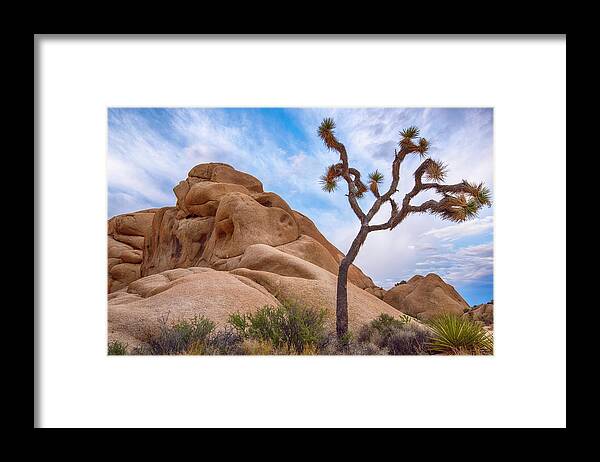 Joshua Tree Framed Print featuring the photograph Joshua Tree National Park Landscape 2 by Dave Dilli