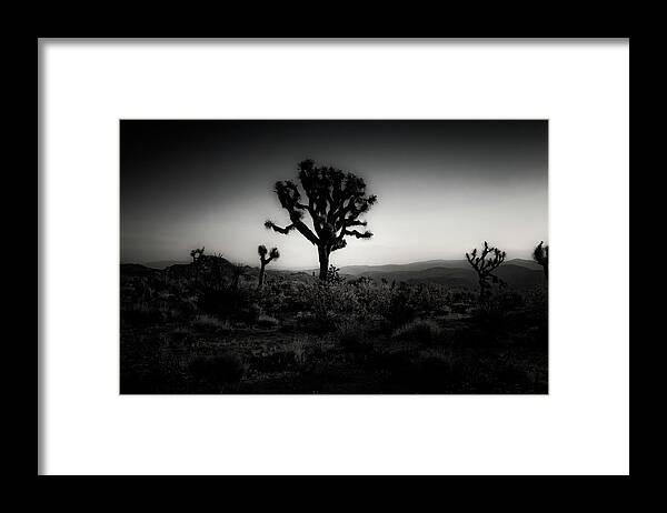 Joshua Tree National Park Framed Print featuring the photograph Sunrise in Joshua Tree BW by Sandra Selle Rodriguez