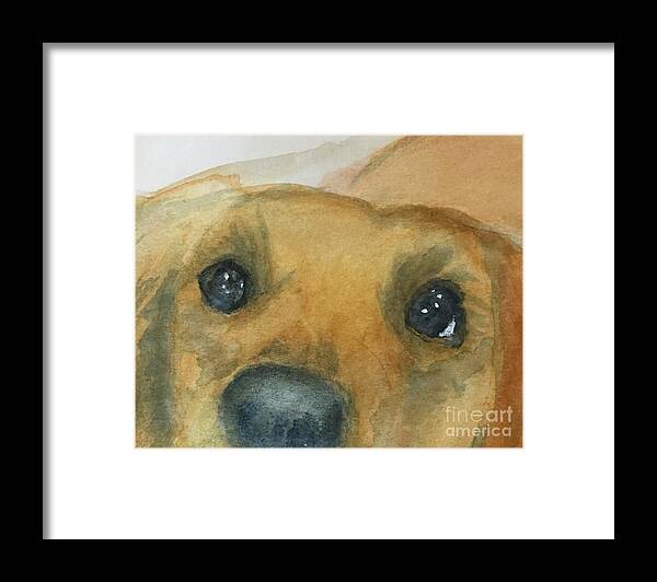 Dog Framed Print featuring the painting Treat Time by Sue Carmony