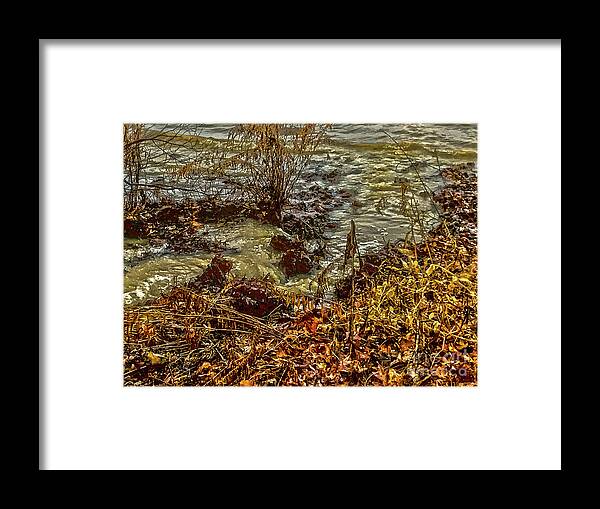 Creek Framed Print featuring the photograph Journeys End by William Norton