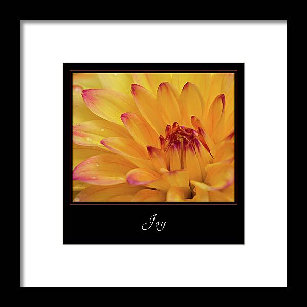 Inspiration Framed Print featuring the photograph Joy 1 by Mary Jo Allen