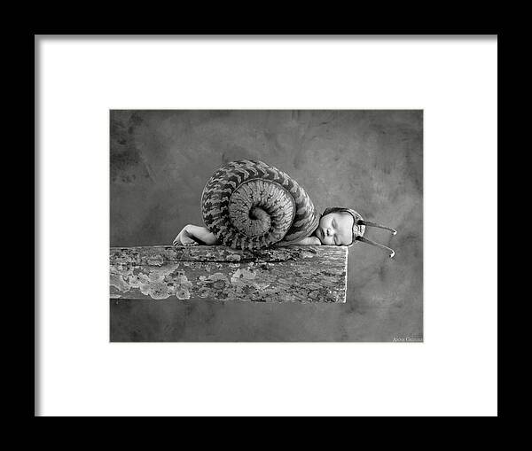 Black And White Framed Print featuring the photograph Julia Snail by Anne Geddes
