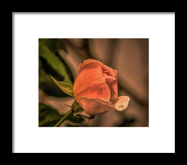 Love Framed Print featuring the photograph July 26, 2015 by Leif Sohlman