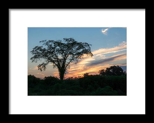 Sunset Framed Print featuring the photograph July Sunset by Holden The Moment