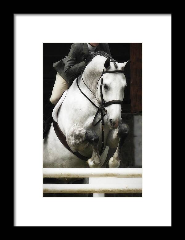 Photo Framed Print featuring the photograph Jumping Hunter 2 by Alan Hausenflock