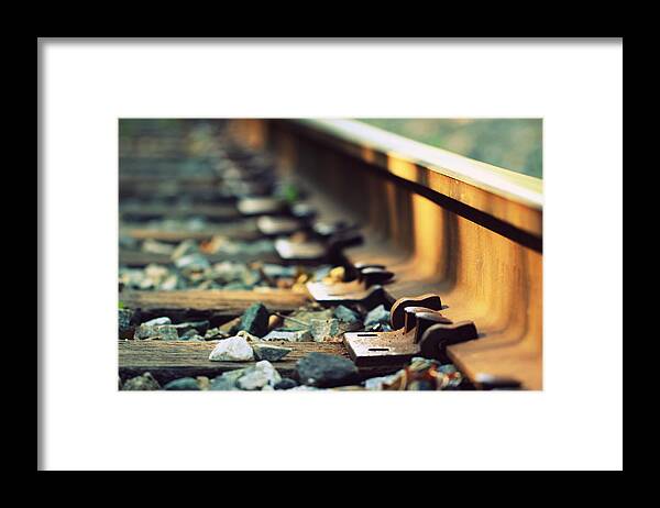 Macro Framed Print featuring the photograph Jumping Someone Else's Train by Joseph Skompski